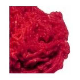 Filet américain nature