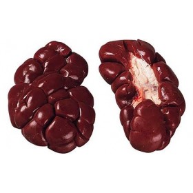 Rognon de boeuf