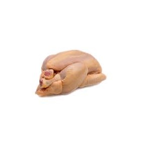 Coquelet belge 800 gr