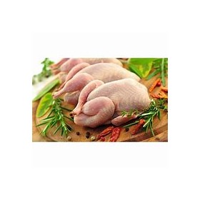 CARTON de 10 CAILLES (+-220gr pièce )